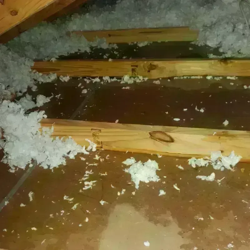 Attic Water Damage in Rowan County, KY